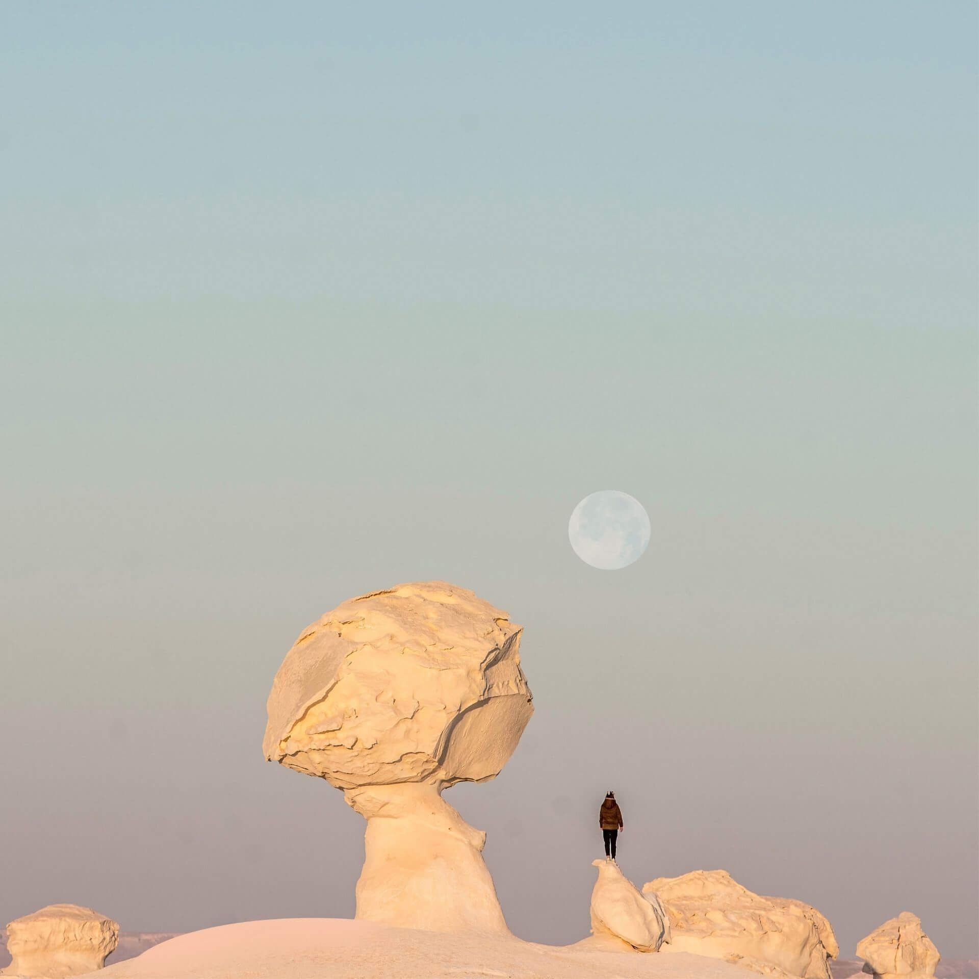 The Black & White Desert